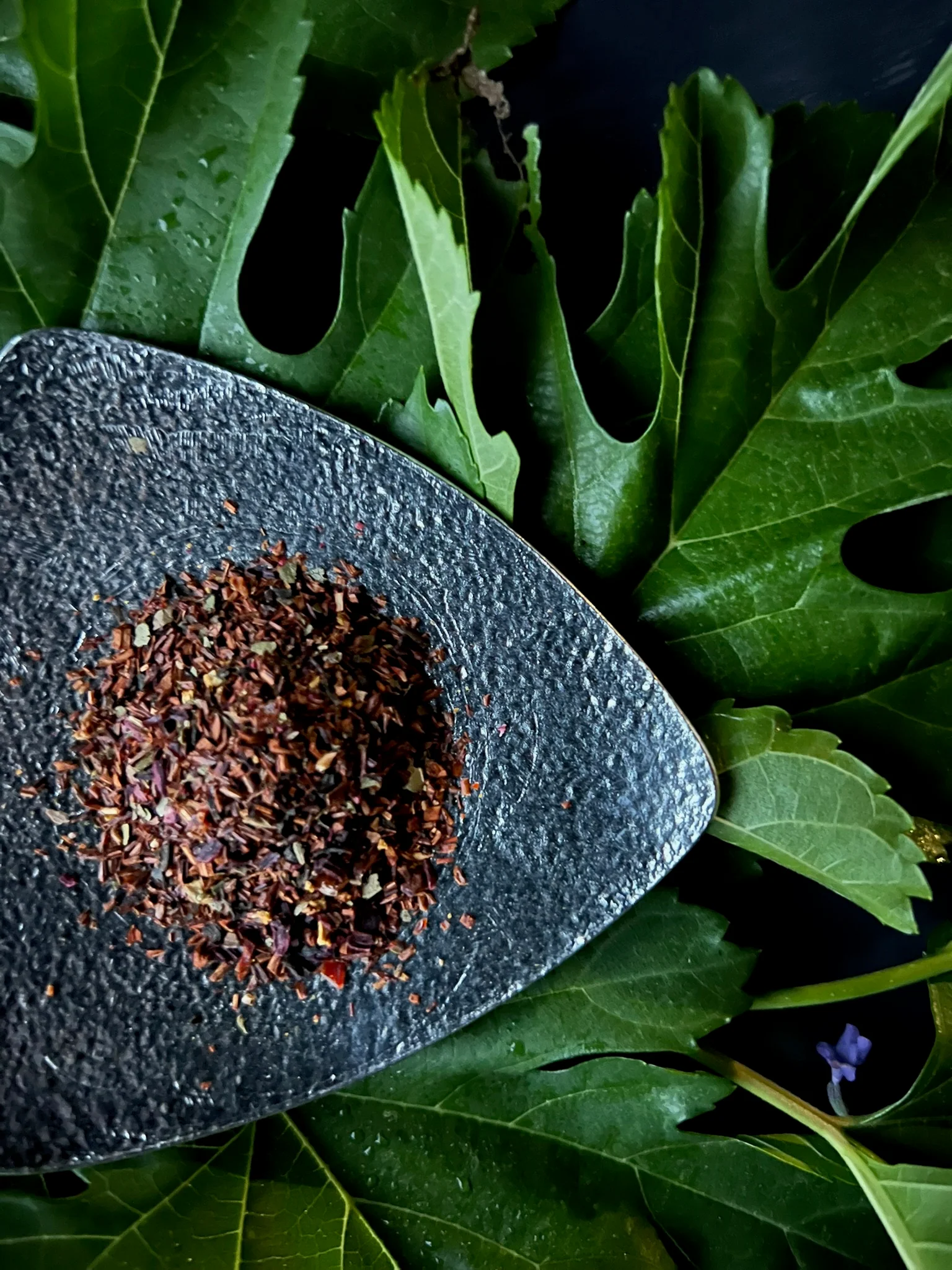 Bōtapia Aging Care Tea - Image 2