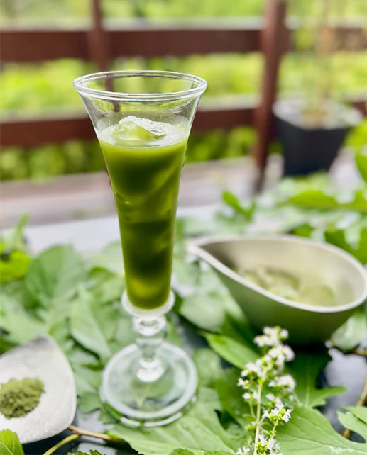 BÅtapia Mulberry Matcha Tea - Image 5